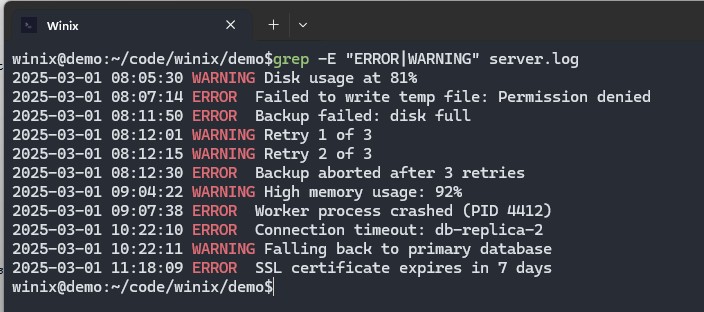 Winix grep -E filtering ERROR and WARNING lines